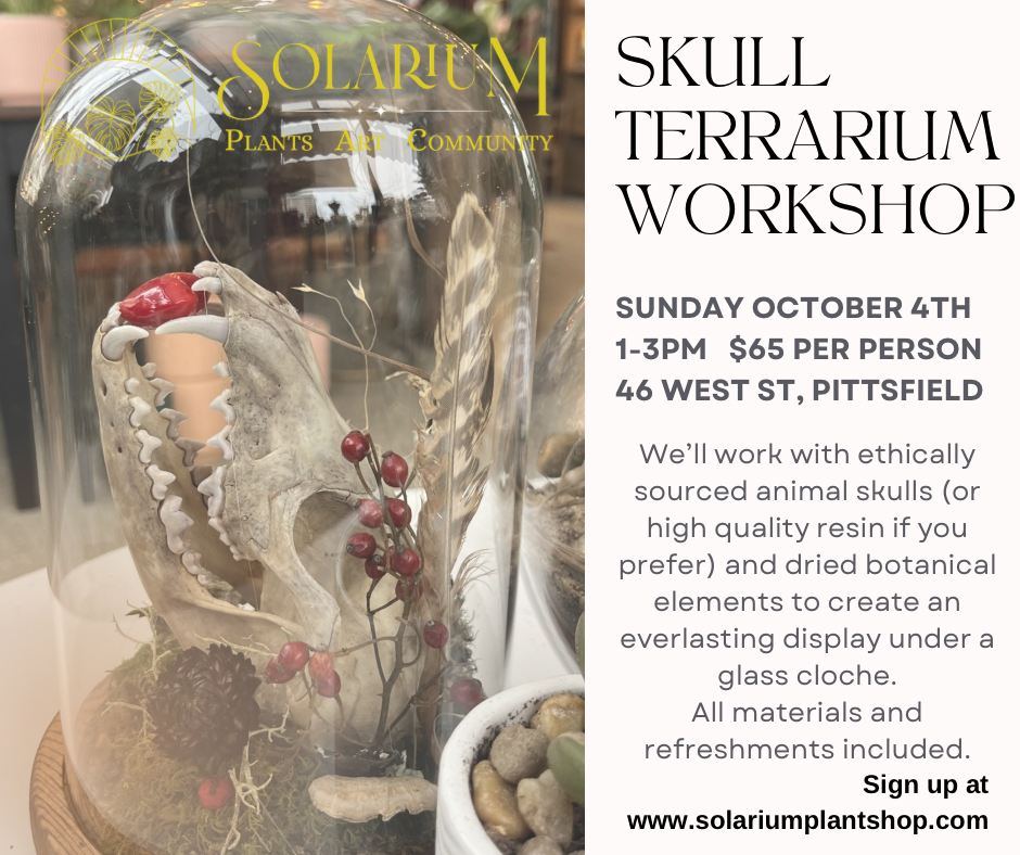 Skull terrarium workshop