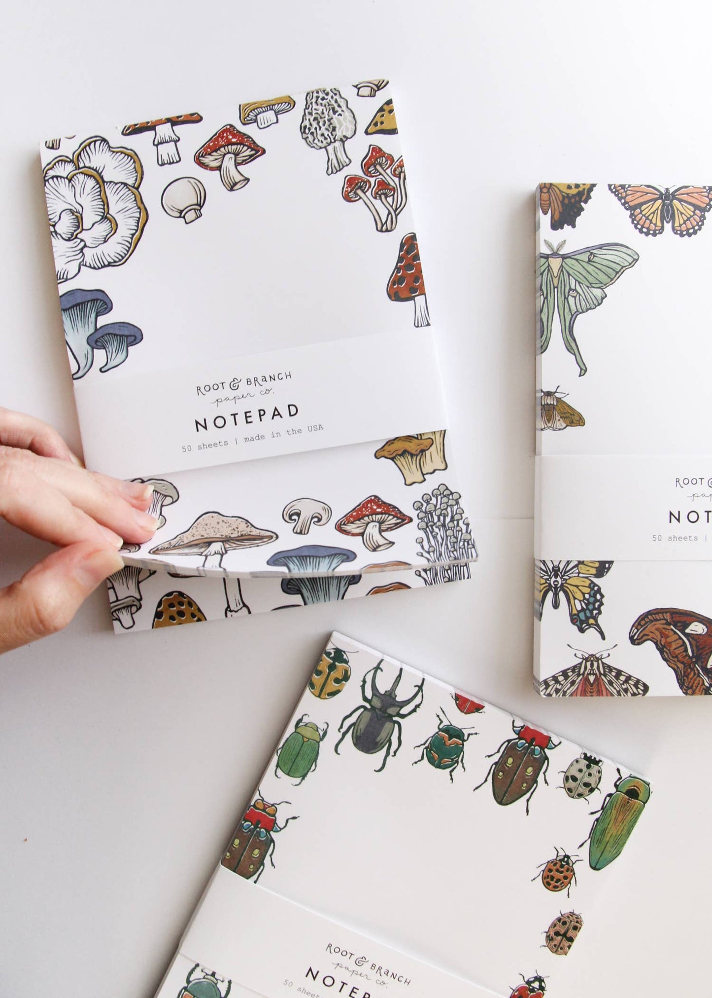 Butterfly + Moth Notepad