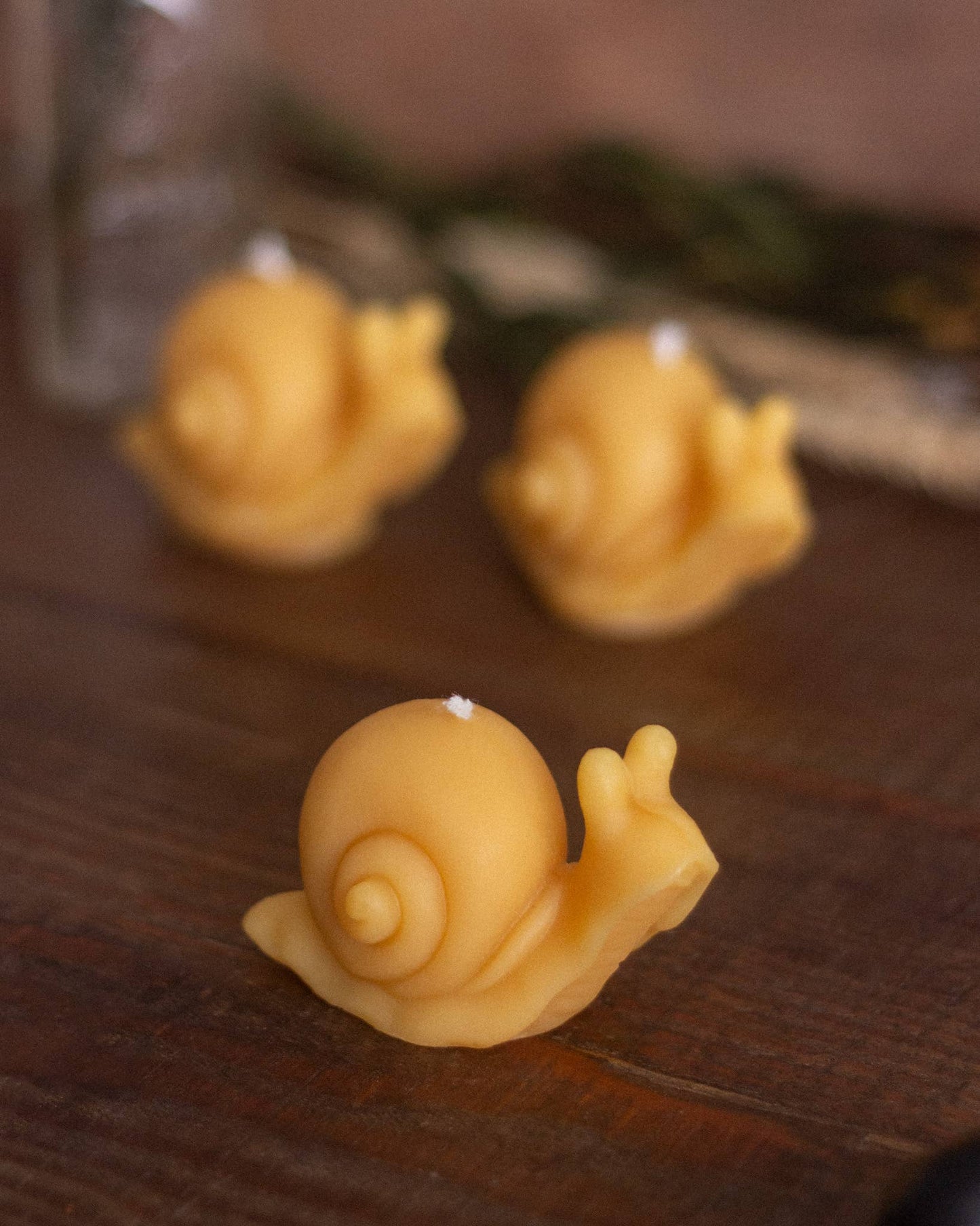 Snail Beeswax Candle