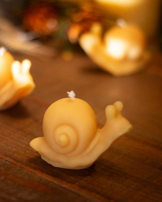 Snail Beeswax Candle