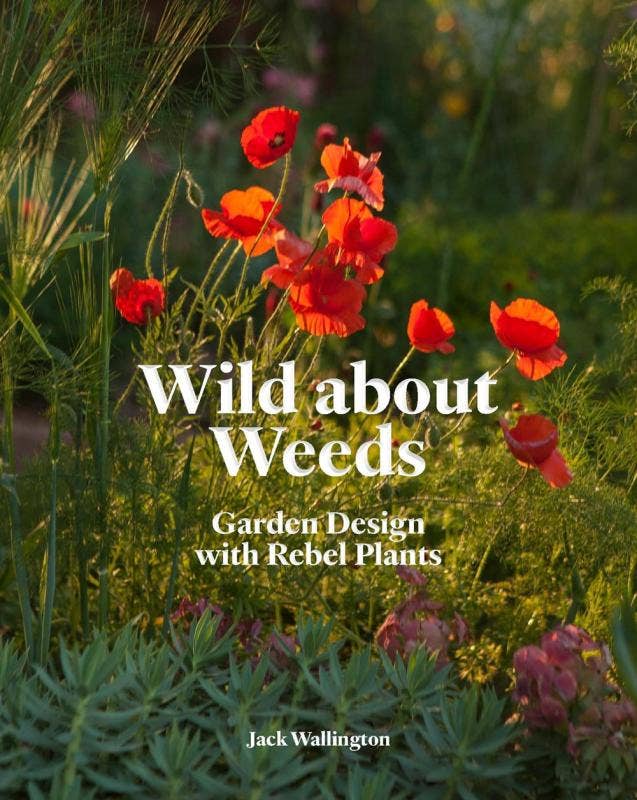 Wild About Weeds: Garden Design with Rebel Plants