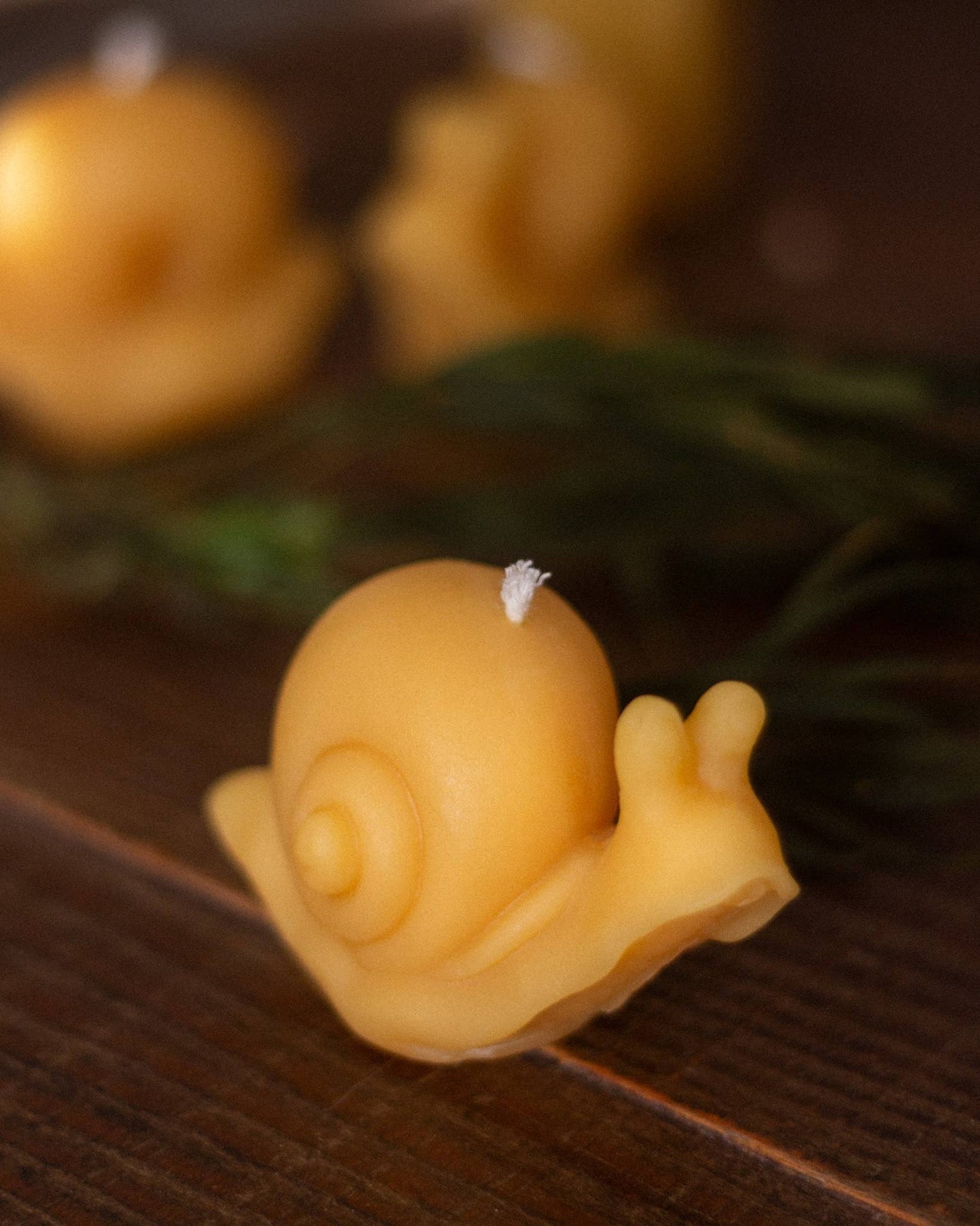 Snail Beeswax Candle