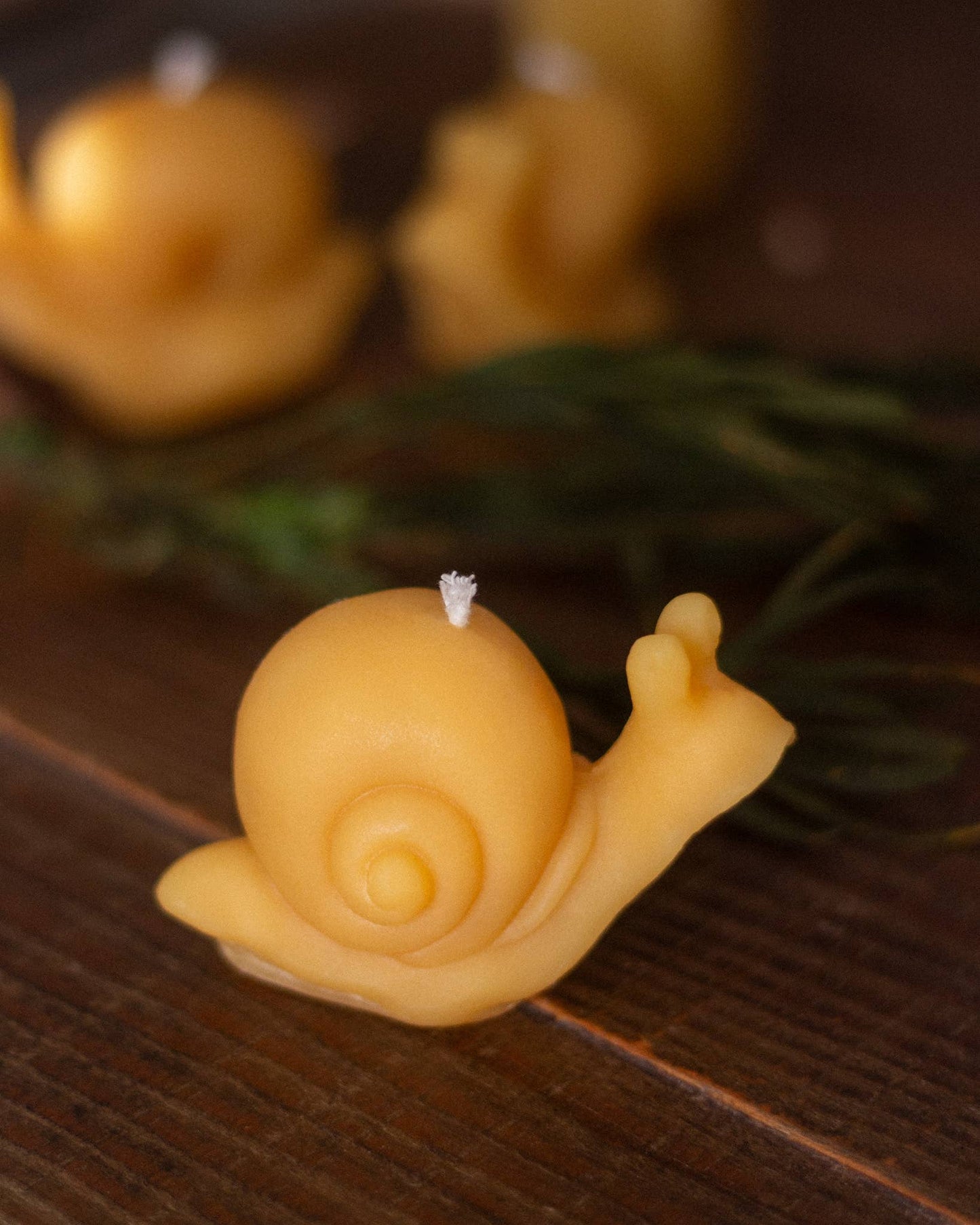 Snail Beeswax Candle