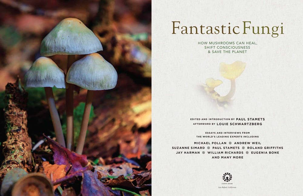 Fantastic Fungi: Expanding Consciousness Alternative Healing