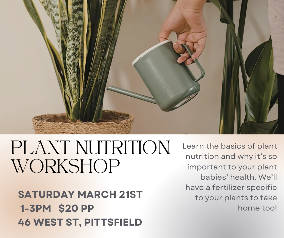 Plant Nutrition Workshop