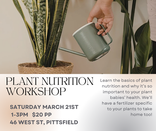 Plant Nutrition Workshop