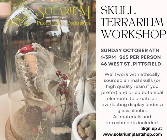 Skull terrarium workshop