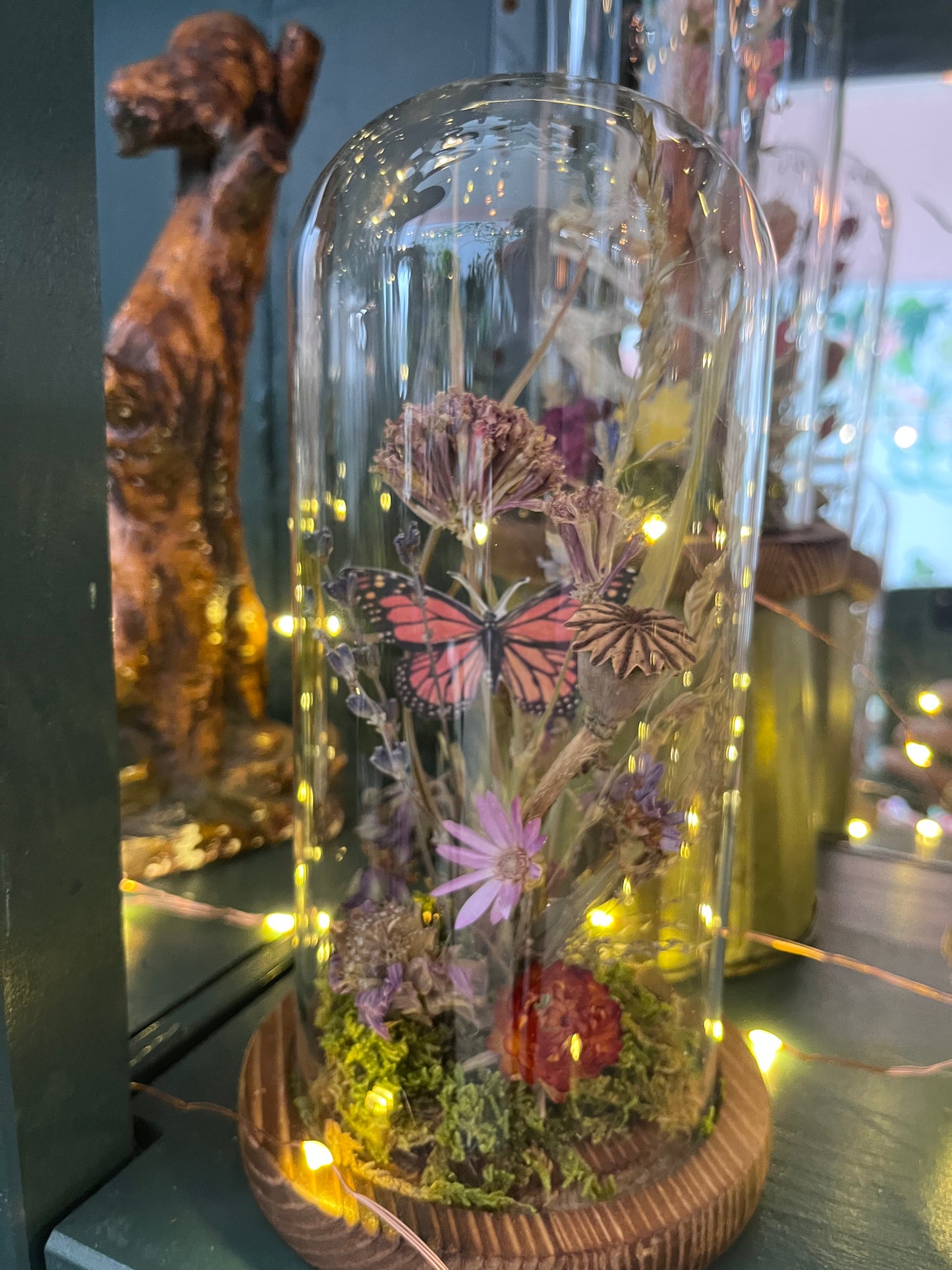 Butterfly terrarium