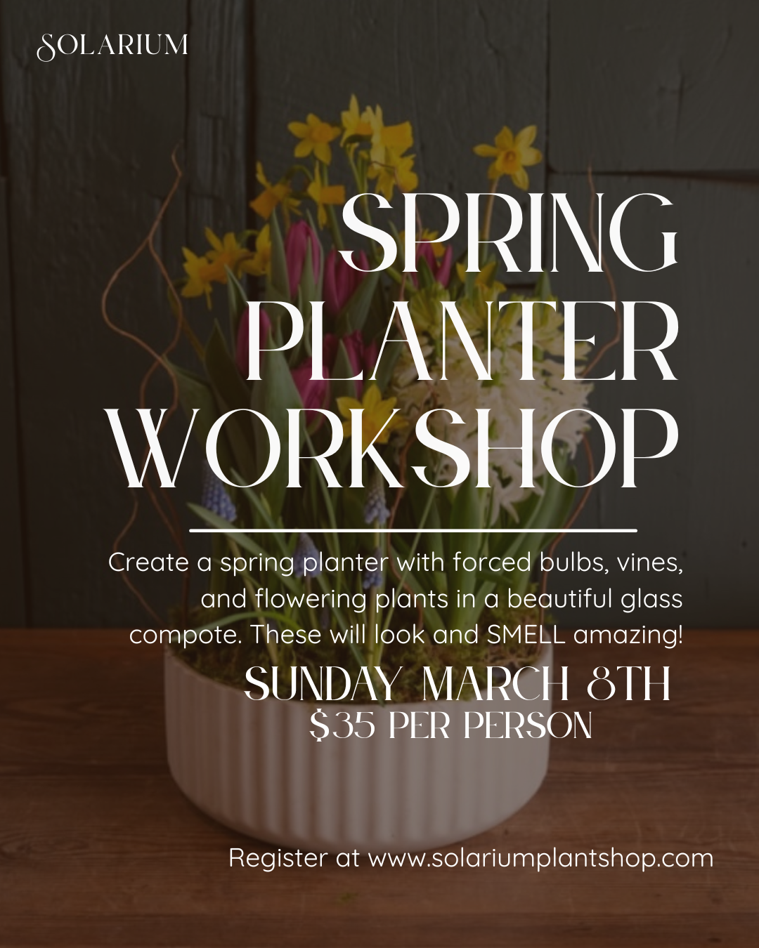 Spring planter workshop