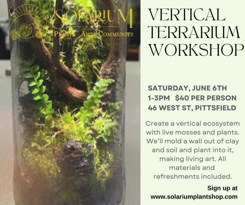 Vertical terrarium workshop
