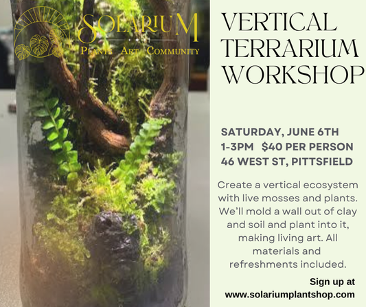Vertical terrarium workshop
