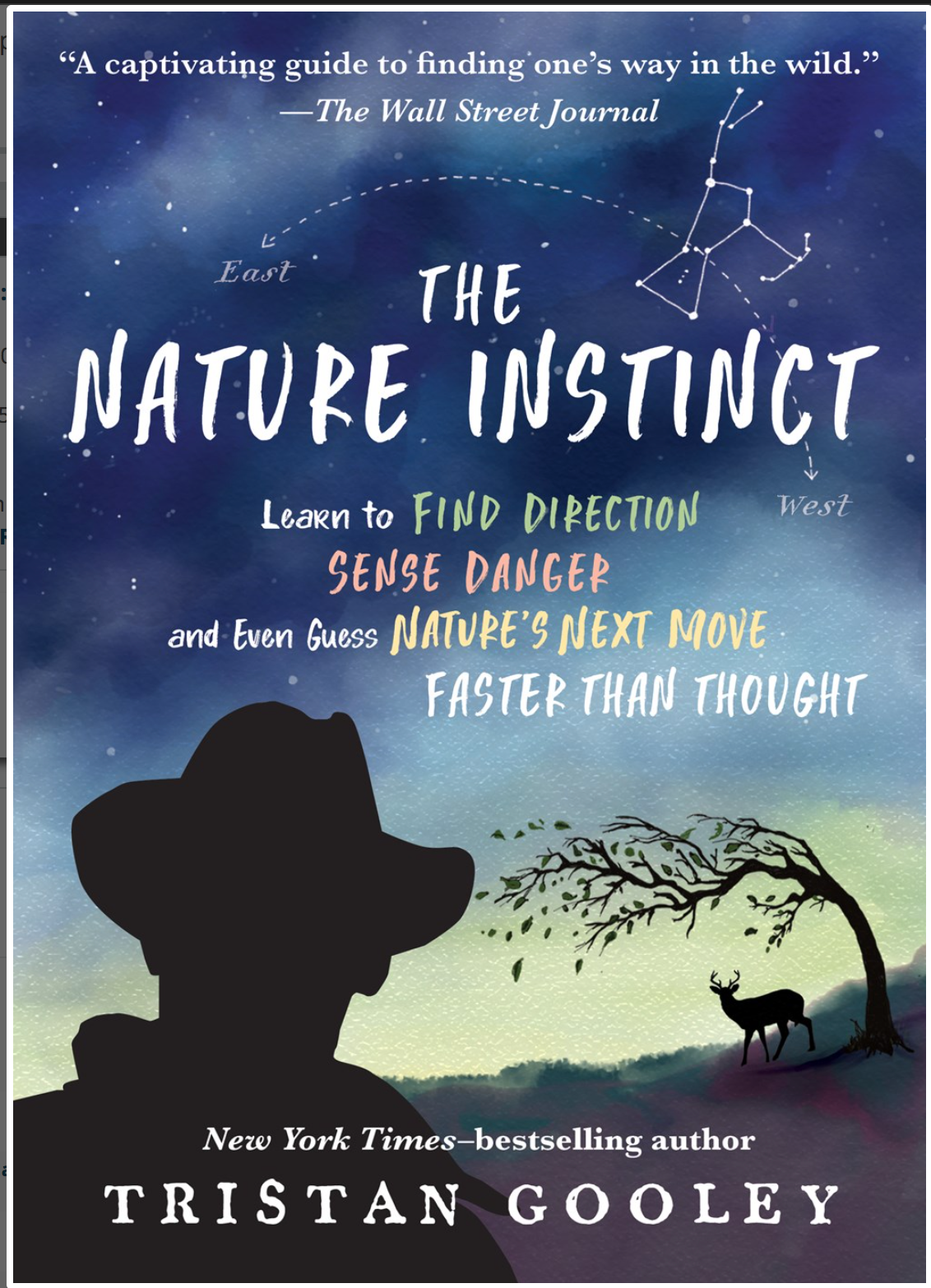 Nature Instinct: Relearning Our Lost Intuition: Hardcover