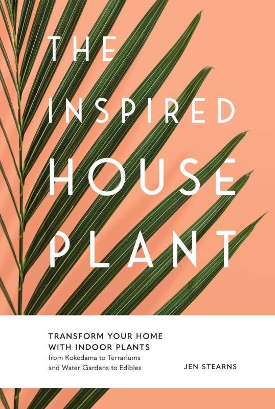 Inspired Houseplant: Transform Your Home with Indoor Plants