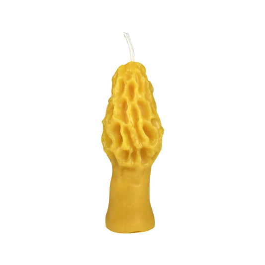 Morel Mushroom Candle-100% Pure Beeswax