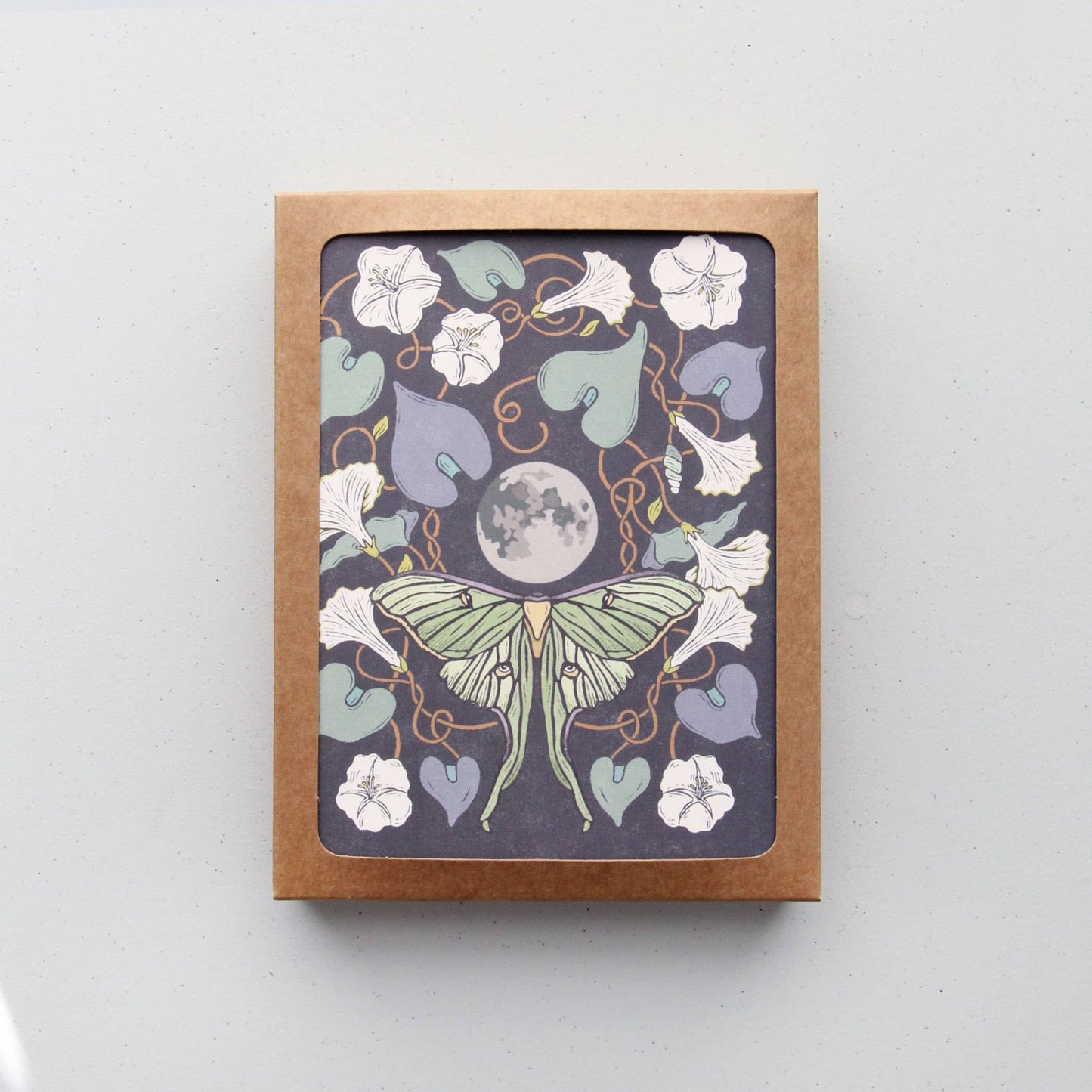 Luna Moth & Moonflower Everyday Boxed Card Set of 8