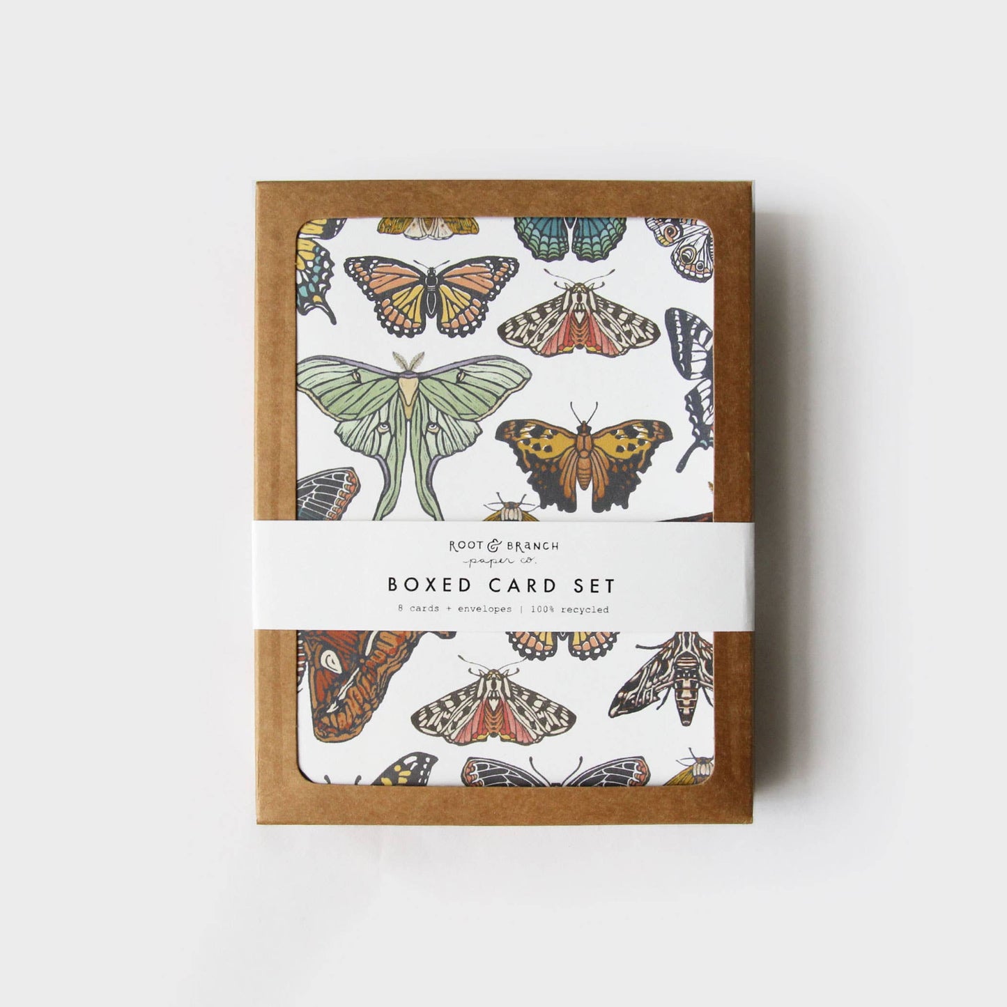 Butterfly + Moth Collection Boxed Card Set of 8