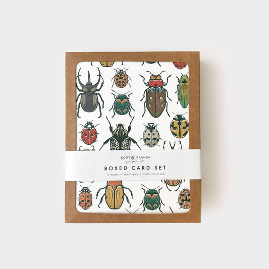 Beetle Boxed Card Set of 8