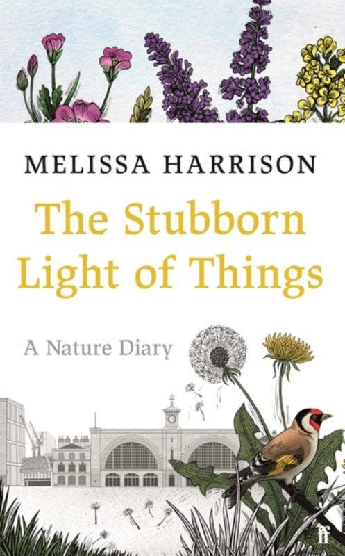 Stubborn Light of Things: A Nature Diary