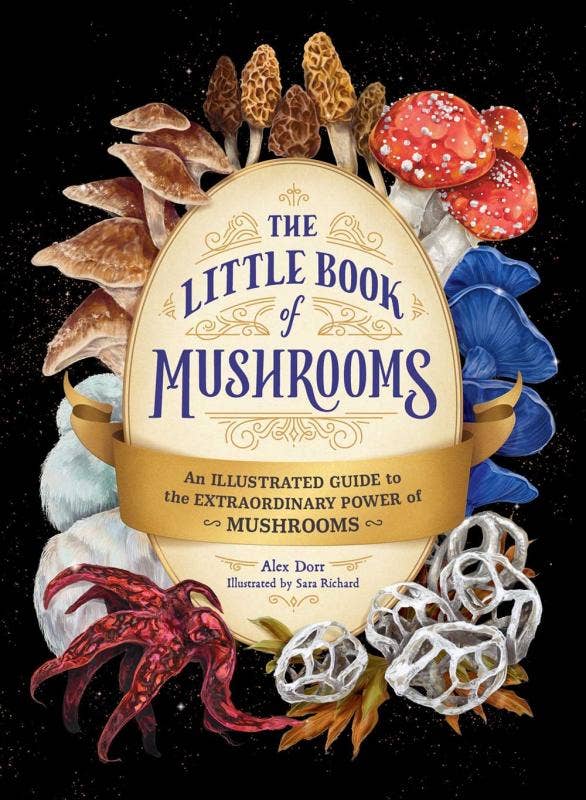 Little Book of Mushrooms: An Illustrated Guide