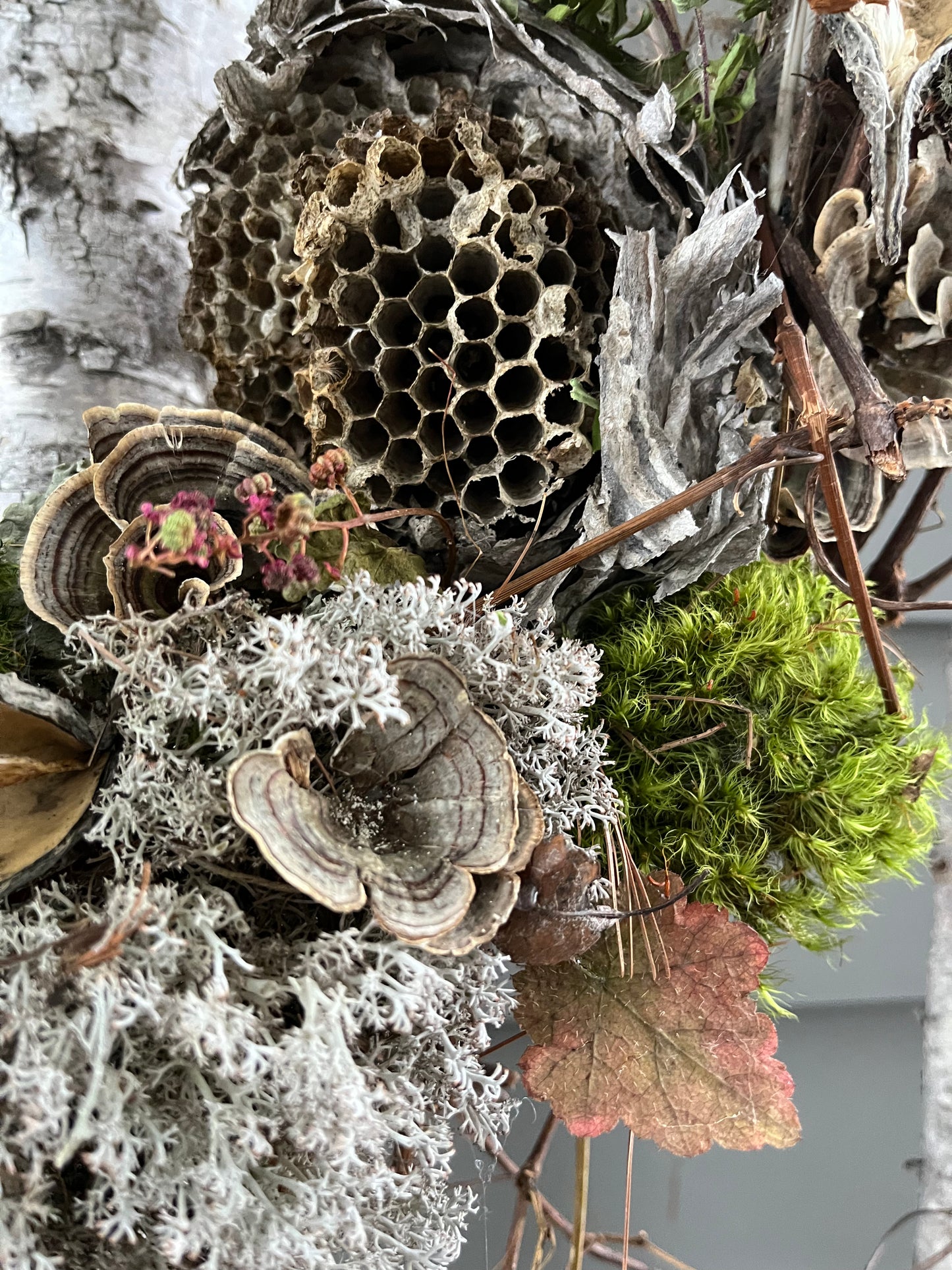 Oval wasp’s nest wreath