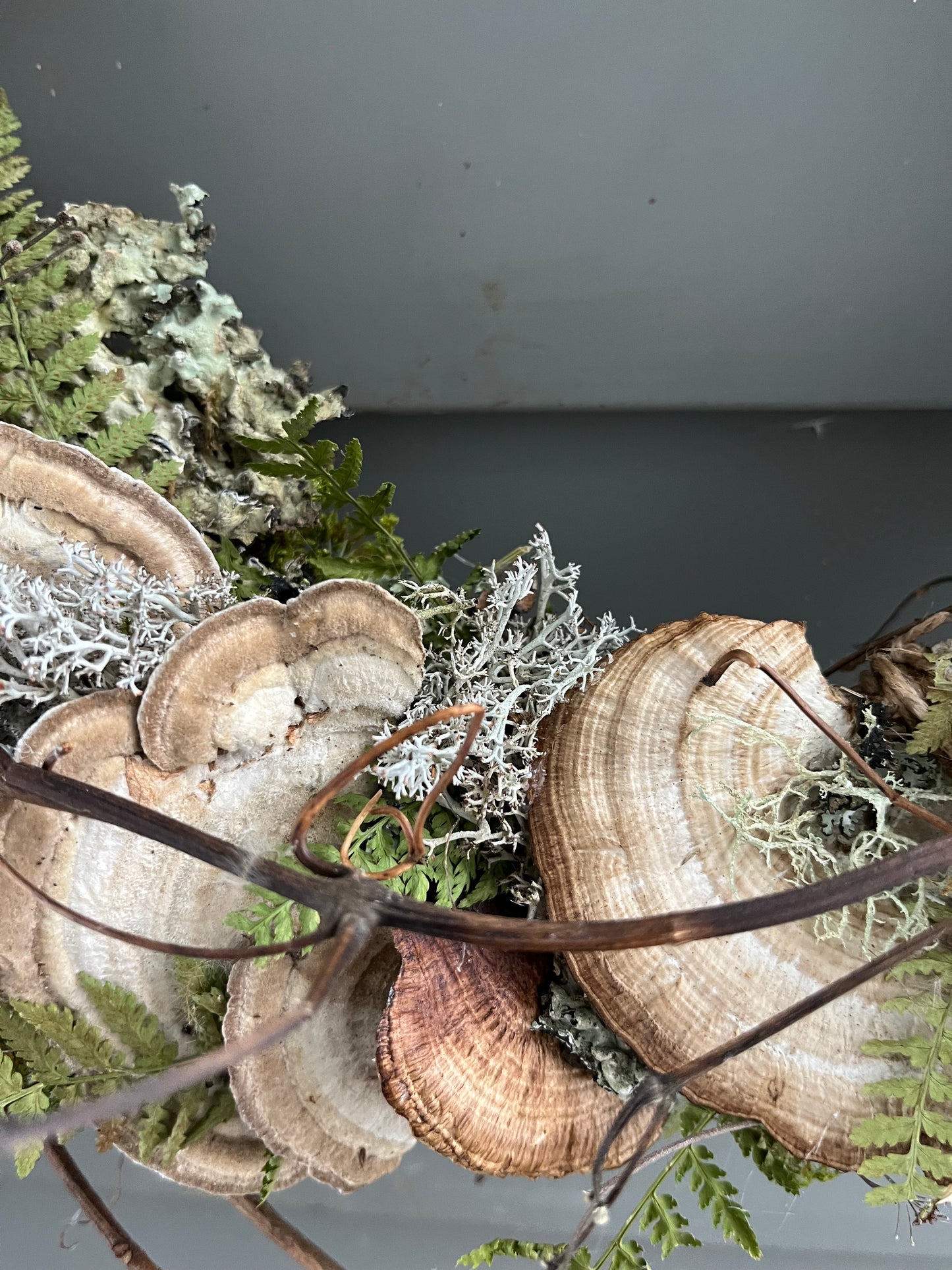 Shelf mushroom wreath