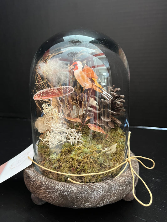 Small bird terrarium