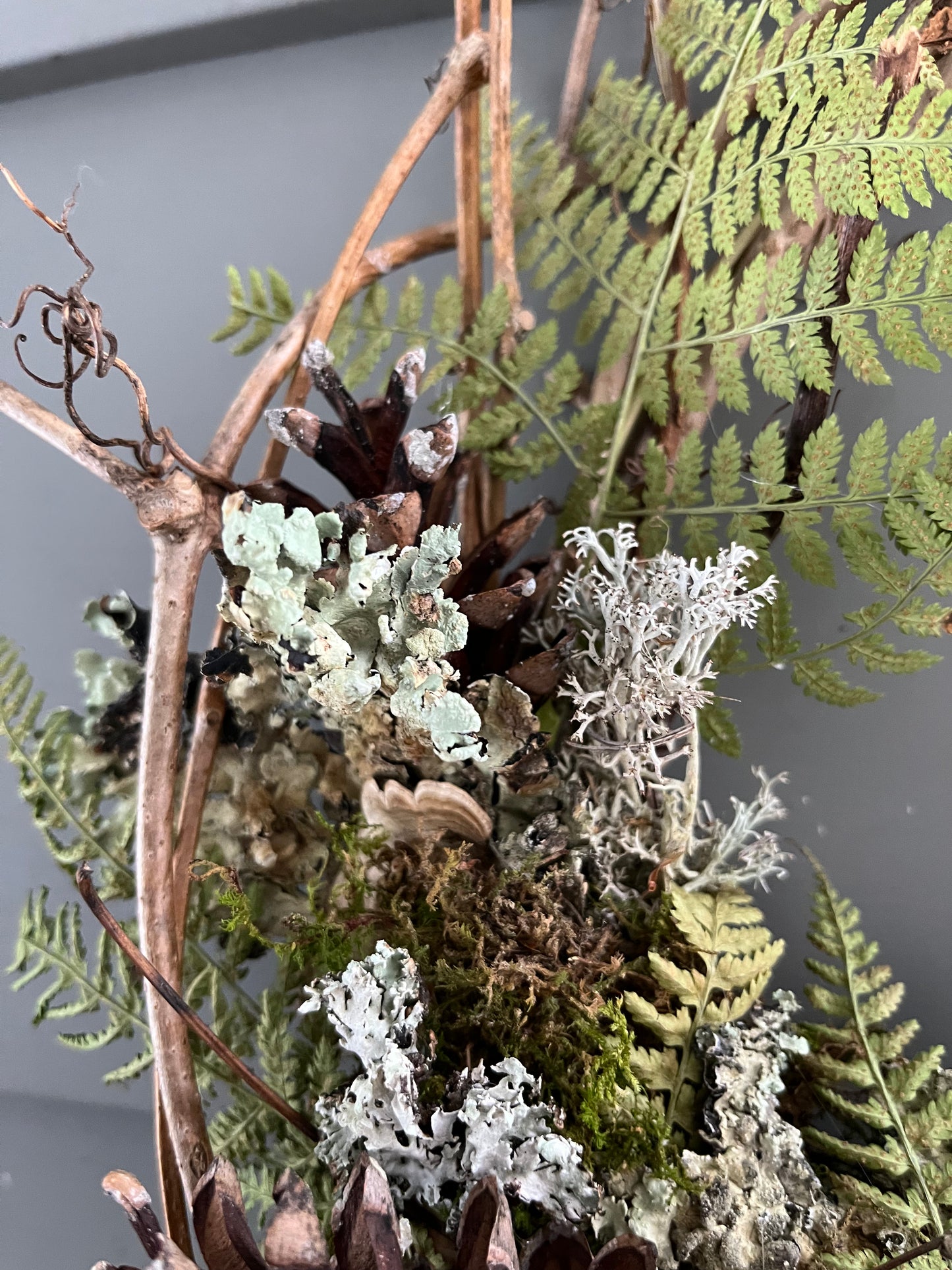 Shelf mushroom wreath